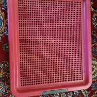 سینی دستشویی سگ