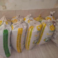 گندم فروشی فوری