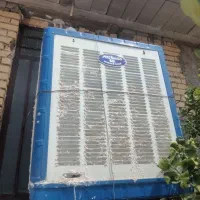 کولرابی