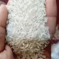 برنج فجر|خوردنی و آشامیدنی|سنگدوین, |دیوار