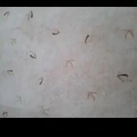 اسباب منزل