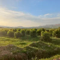 زمین باغشهری|فروش زمین و ملک کلنگی|نورآباد ممسنی, |دیوار