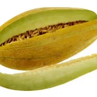 خربزه کیلویی ۱۵