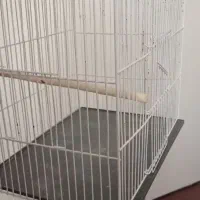 قفس پرنده (طوطی، مرغ عشق)