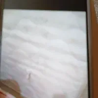 تشک دونفره