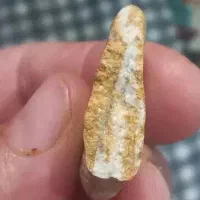سنگ شناس ببینه