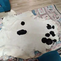 پوست گاو دباغی شده