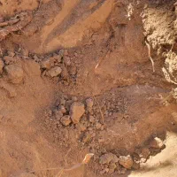 زمین سلیمان اباد شهرک