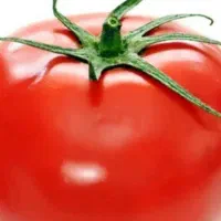 رب گوجه فرنگی