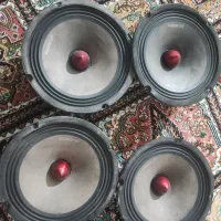 میدرنج دابسر دهنه ۸