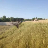 زمین مسکونی ۱۰۰۰متری در روستای مزرعه خلف