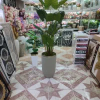 درختچه