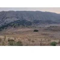 زمین دو نبش آماده ساخت سرآبتاوه کد24