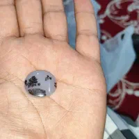 شجرقاین اصل