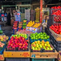 پیش فروش غرفه ۲۵۰ متری