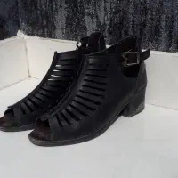 کفش|کیف، کفش، کمربند|کرمانشاه, |دیوار