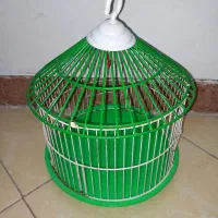 قفس سالم کم استفاده شده