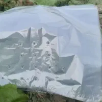 سلفون کاهو هایس بگ و سلفون کرفس