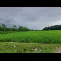 ۱۶۰۰۰ متر مشارکت نمک آبرود جواز آماده