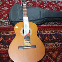 گیتار نو