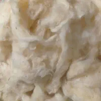 پنبه تشک
