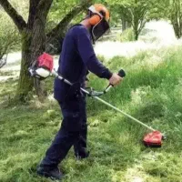 علفزنی باغات بصورت نقد و چکی