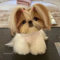 سگ اپارتمانی پشمالو ریزه