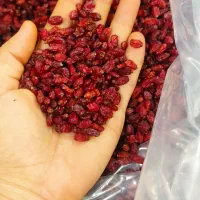 زرشک گوشتی اعلا پفکی امسالی