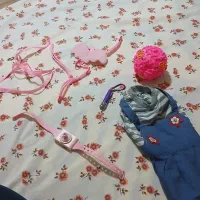 وسایل گربه درحد نو