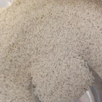 برنج طارم شمال