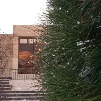 مدارک گم کردم