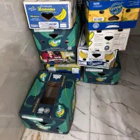 کارتن موز و کارتن کولر