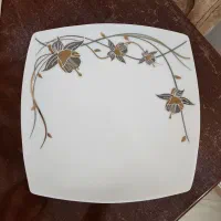 سرویس چینی پردیس