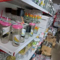 همکاری‌در‌پلاسکو