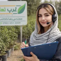 فروش نهال انگور انجیر گردو بادام صنوبر پسته گلدانی