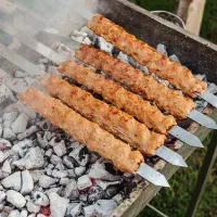 کباب پز و منقل دار دائم