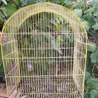 قفس پرنده