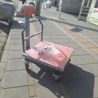 باسکول دیجیتال اف۸۰۰