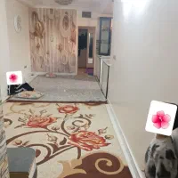 اجاره آپارتمان محله لرزاده صفاری