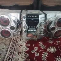 ضبط دو باند بزرگ سالم