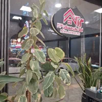 فروش-زمین-500-متری-پاسداران