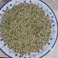 مرجی (عدس)
