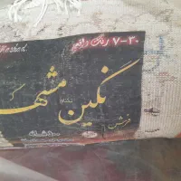 فرش نو|فرش|نیشابور, بنیاد شهید|دیوار