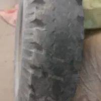 مجسمه استوک لاستیک