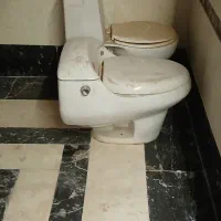 فرنگی