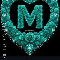 به یک شاطر حرفه ای و یک سالن کار حرفه‌ای با سابقه