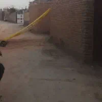 زمین