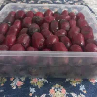 خرما