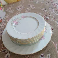 گل عروس نو