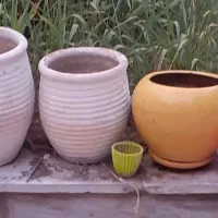 گلدان خالی
